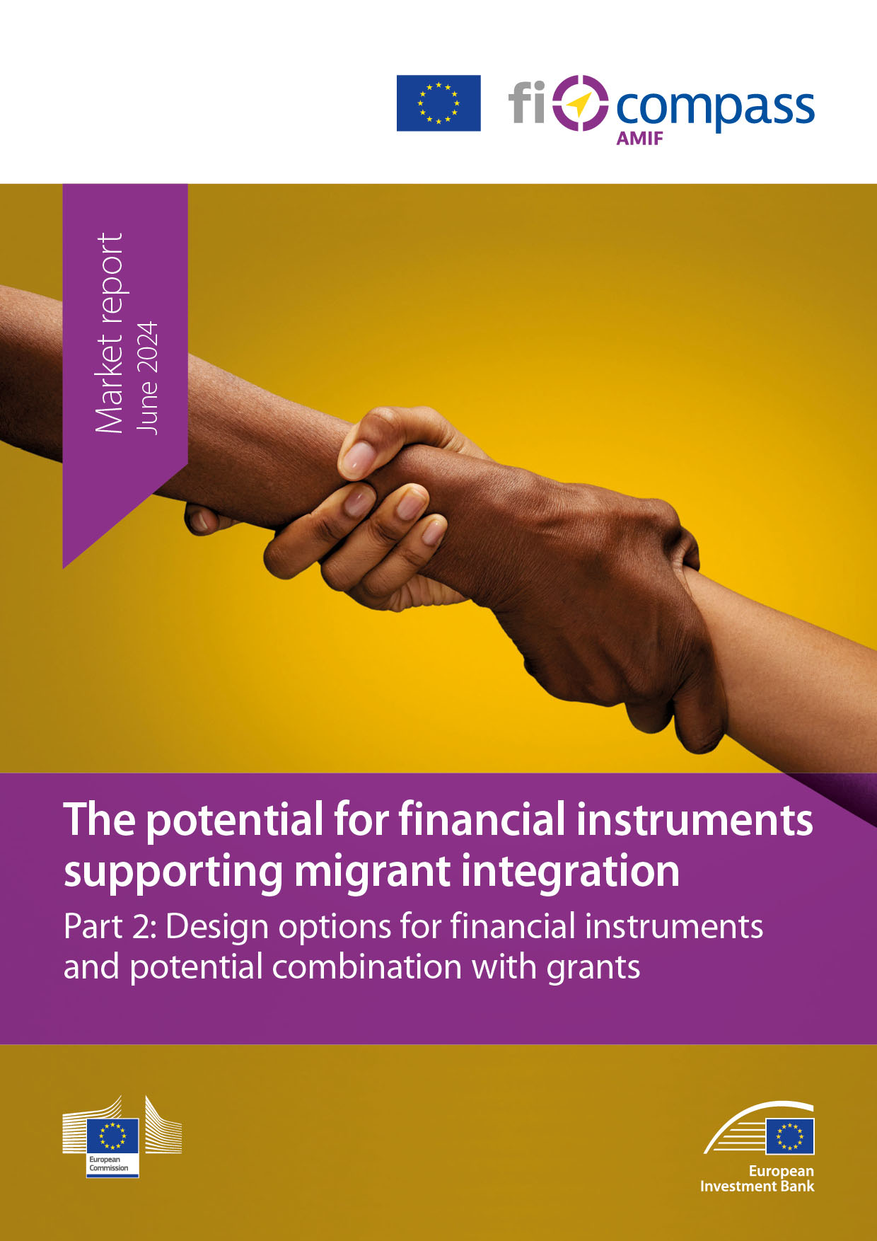 Asylum, Migration and Integration Fund (AMIF) – Financial instruments