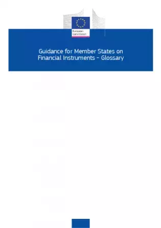 Guidance for Member States on Financial Instruments - Glossary