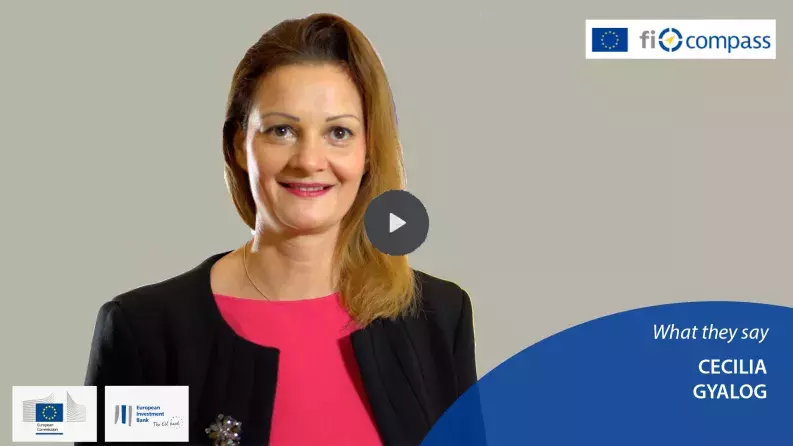 Financial instruments implemented by the Hungarian NPB – Cecília Gyalog, MFB Hungarian Development Bank Financial instruments implemented by the Hungarian NPB – Cecília Gyalog, MFB Hungarian Development Bank