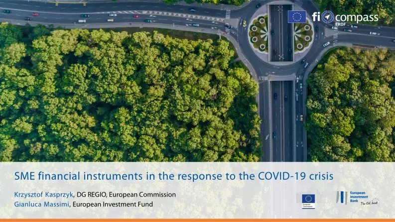 SME financial instruments in the response to the COVID-19 crisis SME financial instruments in the response to the COVID-19 crisis