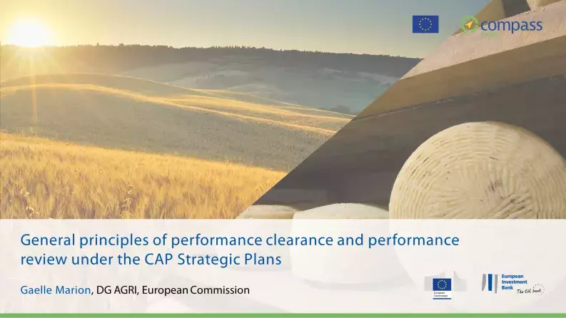 General principles of performance clearance and performance review under the CAP Strategic Plans General principles of performance clearance and performance review under the CAP Strategic Plans