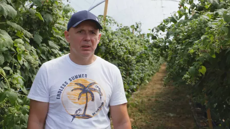 Pades berries video thumbnail Pades berries video thumbnail