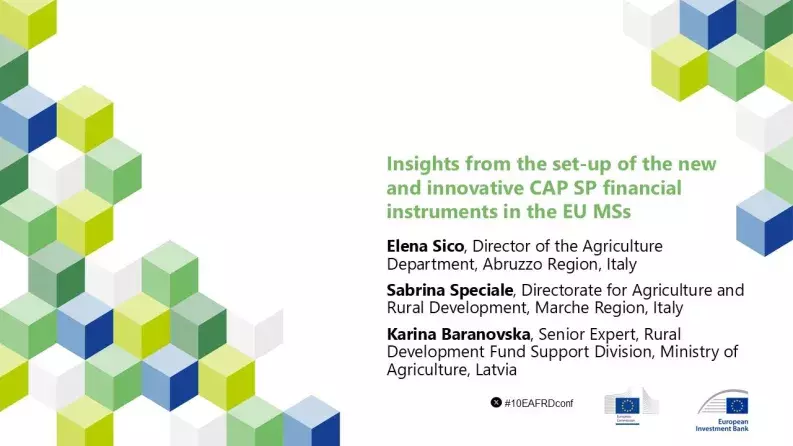 Insights from the set-up of the new and innovative CAP SP financial instruments in the EU MSs (11090) Insights from the set-up of the new and innovative CAP SP financial instruments in the EU MSs (11090)