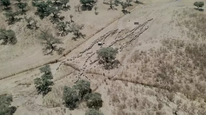 Financial Instruments for a younger and modern agricultural sector Financial Instruments for a younger and modern agricultural sector