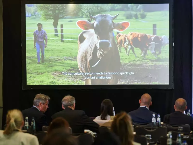 Video showcasing project examples of small farms supported by EAFRD FIs