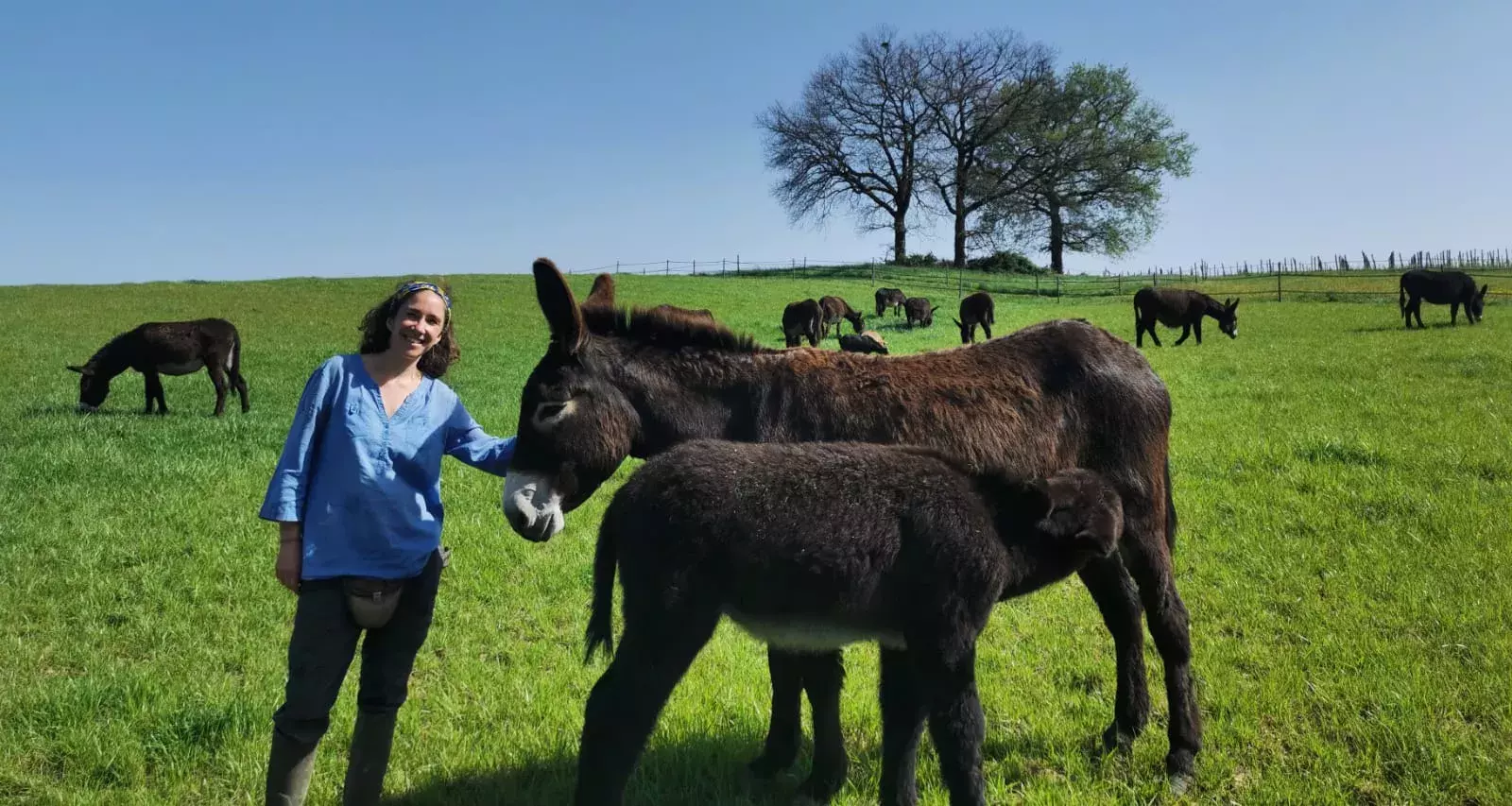 Héloïse Brunel with her milk-producing Pyrenean donkeys, a protected local breed. Héloïse Brunel with her milk-producing Pyrenean donkeys, a protected local breed.