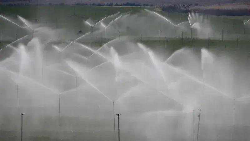 Fernando's story: financial instruments for a smarter irrigation system Fernando's story: financial instruments for a smarter irrigation system